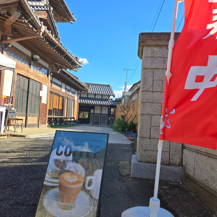 画像250