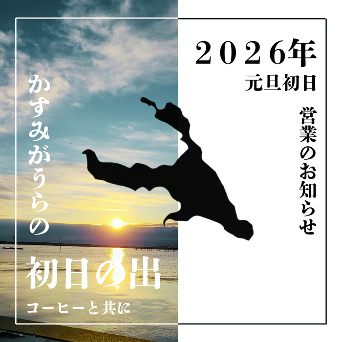 画像264